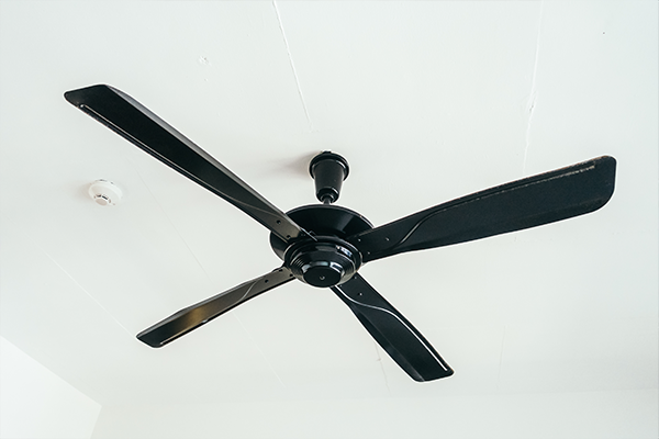 Ceiling Fan Installation and Upgrade in Melbourne